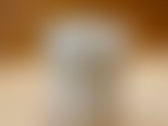 Fall in love with the flavor of the season — the Real Pumpkin Latte! 🍂☕