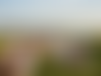 A Cape Cod Chef for Hire: What Locals and Visitors Should Know