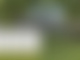 Fencing Wilmington: How to Choose Between Privacy and Openness