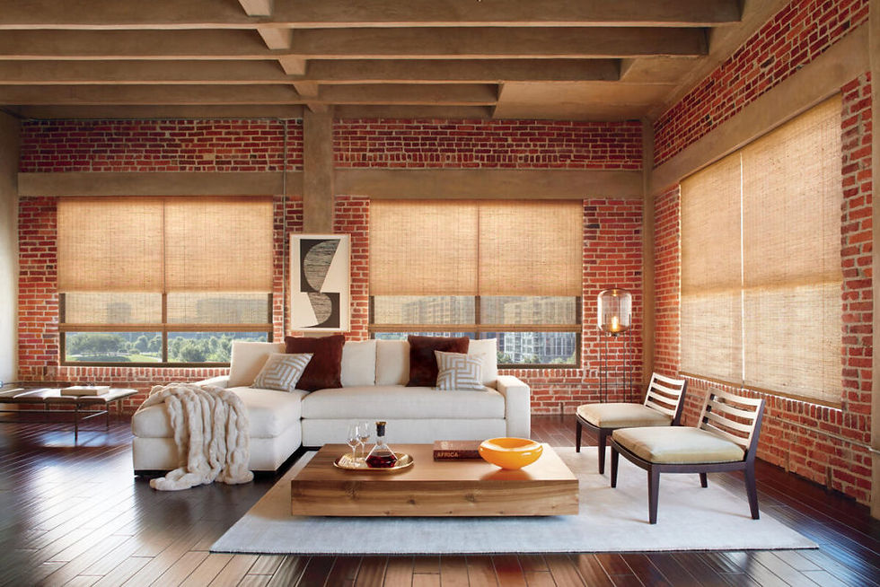 livingroom9-1024x683