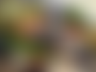 Cape Cod Custom Chef Menus Built Around Local Ingredients