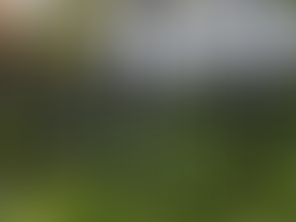 How Aluminum Fencing Adds Style and Strength to Wilmington Homes