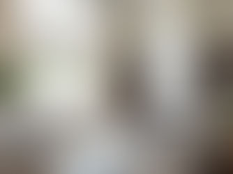 Stylish Window Treatments for Alpharetta