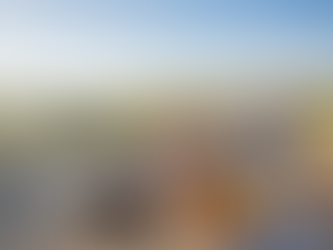 Private Chef in Barnstable - Services for At-Home Dining