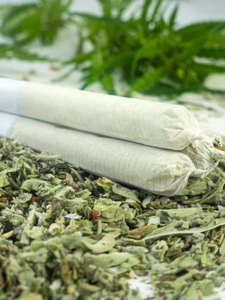 Cape Cod’s Best Pre-Rolls: Infused, Flavorful, and Potent