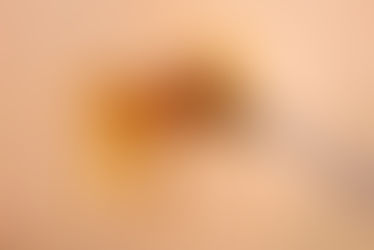 Dab Day at The Haven Center: Cape Cod’s Best 710 Deals & Dabbing How-To