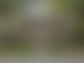 Custom Shutters That Add Real Value to Athens Properties