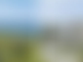 Covering Wilmington and Cape Cod - Why Pro Fence is the Right Choice