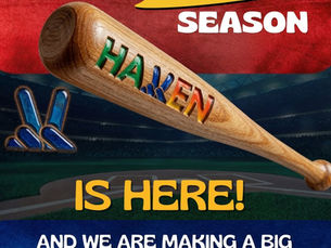 A Summer of Baseball at Haven Center