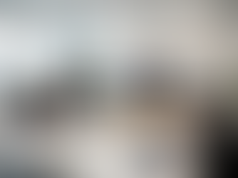 BOOKKEEPING CLEAN-UP SERVICES IN ATHENS GA FOR MERGERS AND OWNERSHIP CHANGES