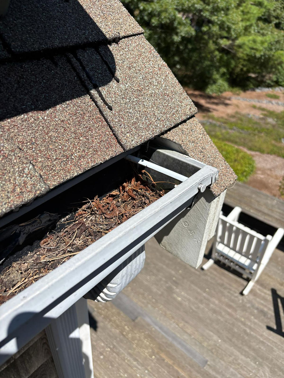 Searching for "Gutter Cleaning Near Me"? Here's Why Regular Gutter Cleaning Matters on Cape Cod