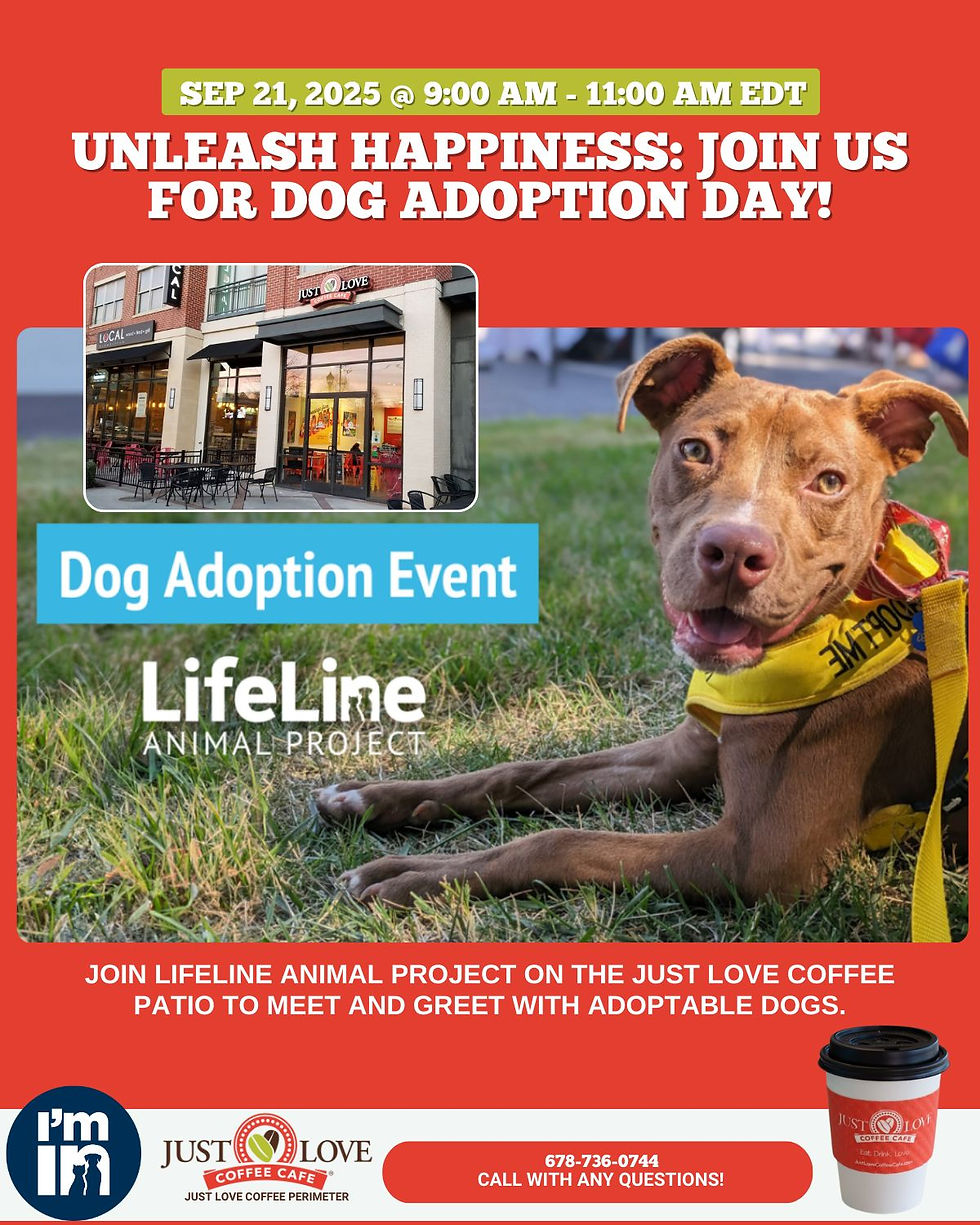 🐾 Coffee. Cuddles. Community. 🐶