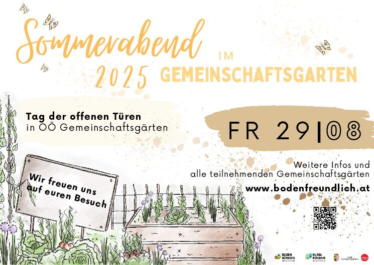 Sommerabend im Gemeinschaftsgarten 2025