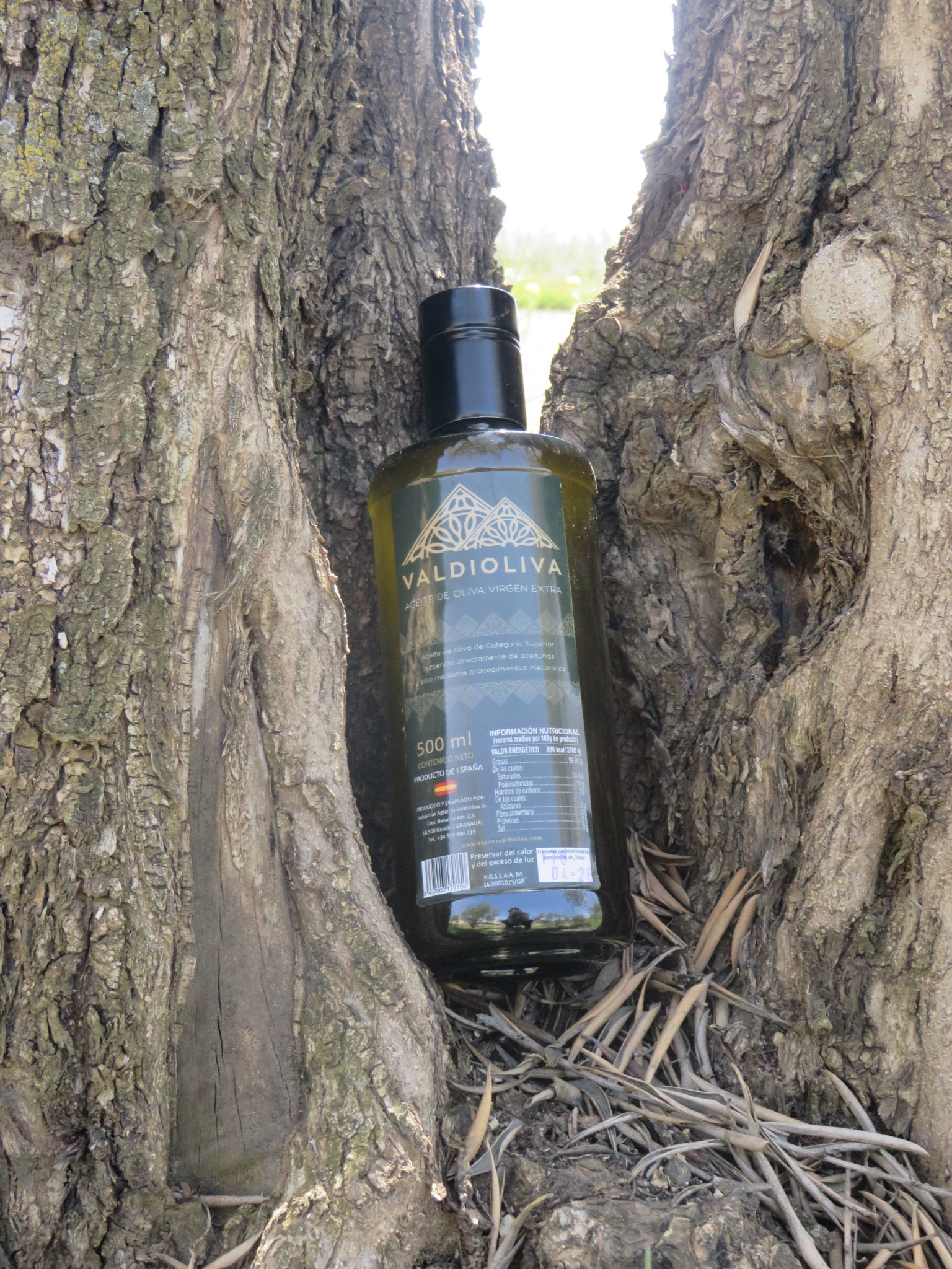 500 ml Olijfolie Fles