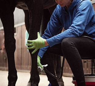 WhatsApp Image 2025-01-27 at 17.21.08 (1).jpeg