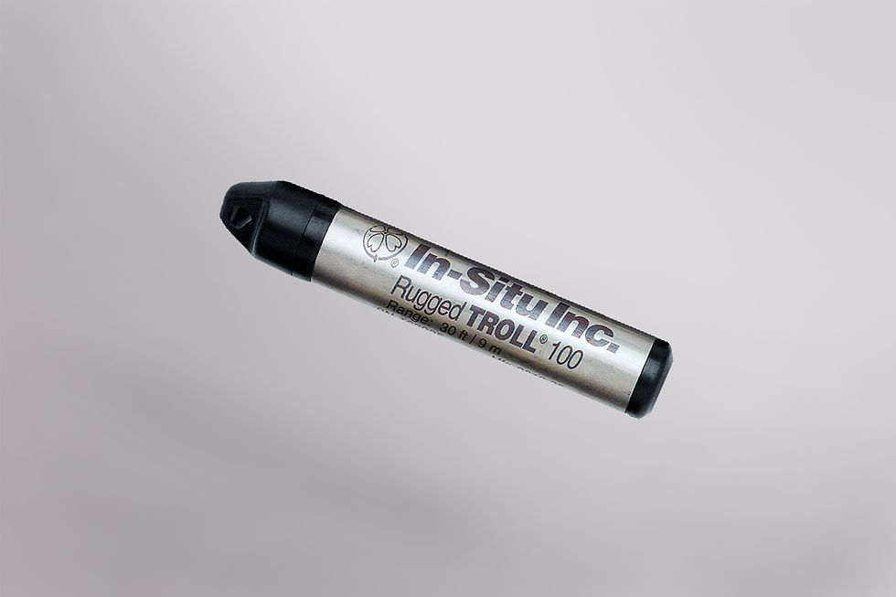 Rugged TROLL 100 water level logger