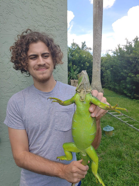 These greenies are fast. We are faster!