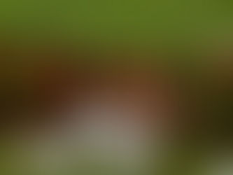 VGP Heritage Welcomes Hitachi to The Beach Terrace