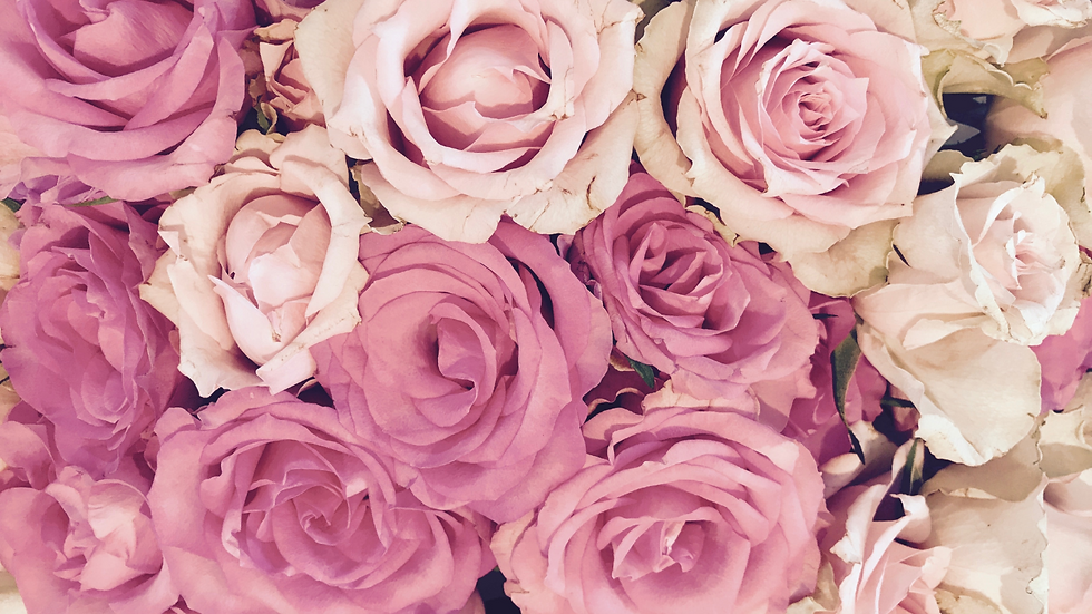 roseburr bliss