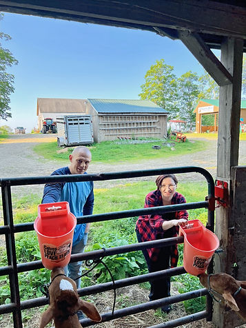 Dani and jake cow farm_edited.jpg