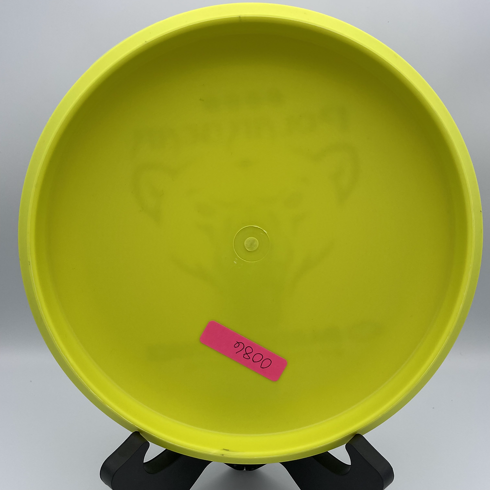 Thumbnail: Daredevil Polar Bear Slightly Overstable Putter