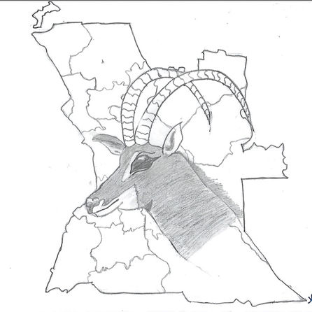 2 lugar - Nayara dos Reis_edited.jpg