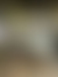 府中の森公園でラグビ-フェスタ