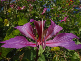 いわき市民訴訟(第21回)期日報告