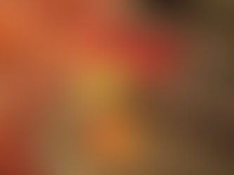 避難者訴訟第14回期日のお知らせ