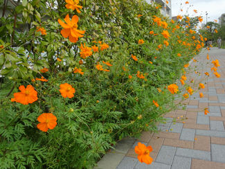 避難者訴訟「山木屋原告」の会報4号が発行されました。