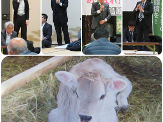 避難者訴訟(第35回)2陣三名本人尋問実施