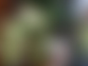 避難者訴訟第1陣仙台控訴審(第2回)期日のお知らせ。