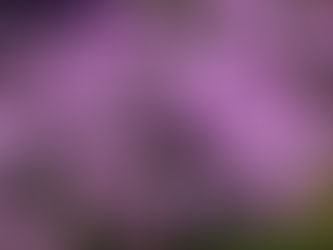 避難者訴訟(16回)期日のお知らせ、2名原告本人尋問。