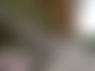 いわき市民訴訟原告「意見陳述集」書店販売のお知らせ。