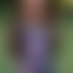 How One Painting Became Part of a Cross-Country Story