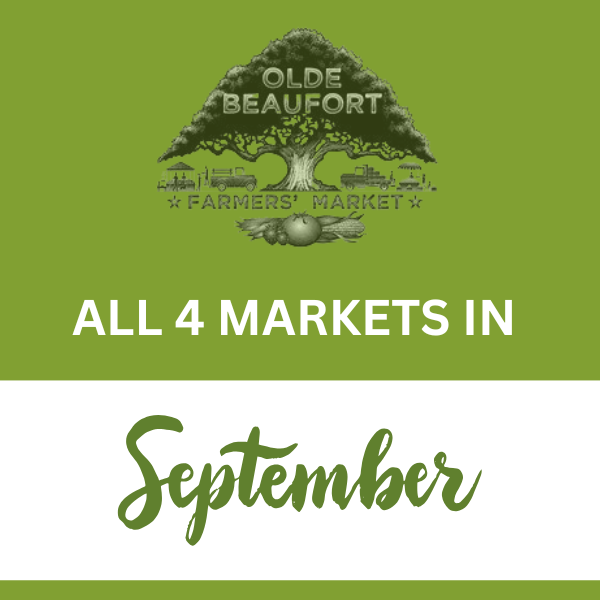 All Markets In September