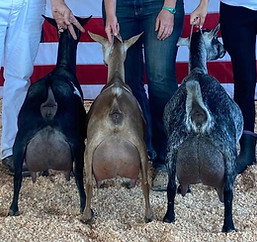 356850244_809300140845738_2096619263200662364_n (1).jpg