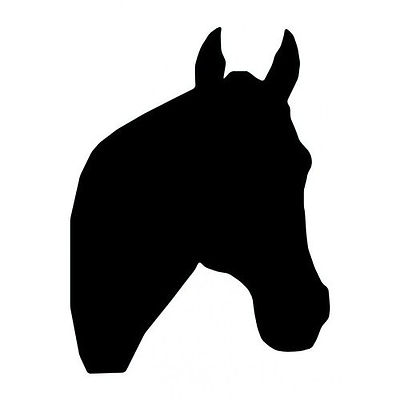 6b8d1f62002ca0cca7ead3feda128b19_horse-s