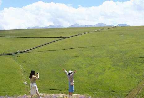 Screenshot 2025-02-06 at 9.52.26 AM.png