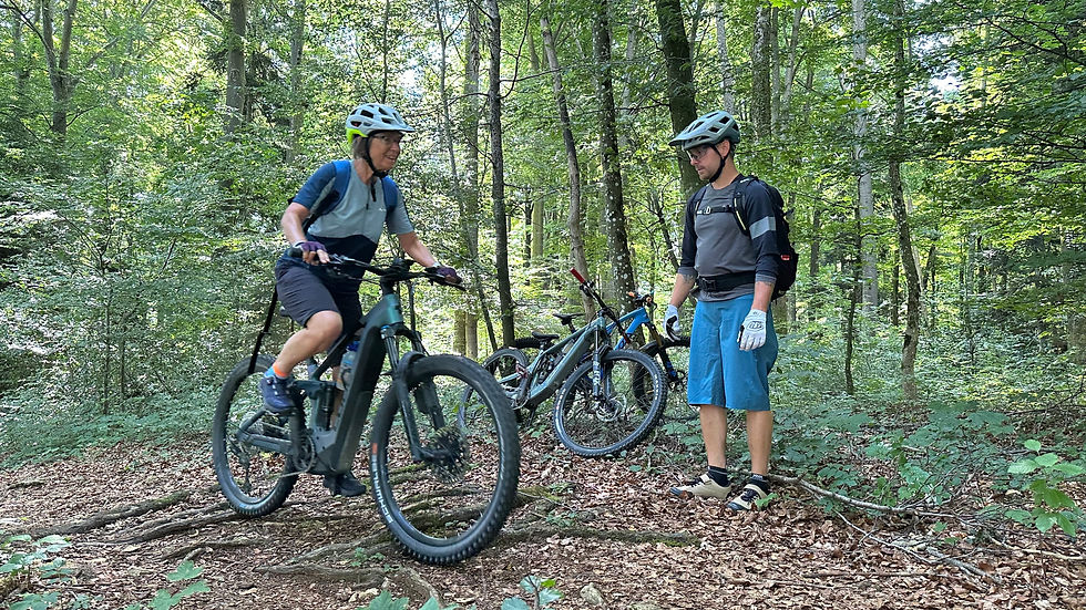 Bike-Fahrtechnik-Kurs für Erwachsene