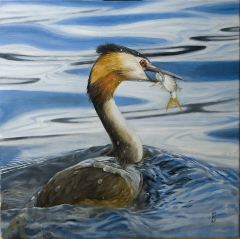 Great Crested Grebe 001.jpg