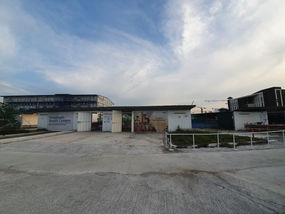 PATAH SAYAP, BERTONGKAT PARUH