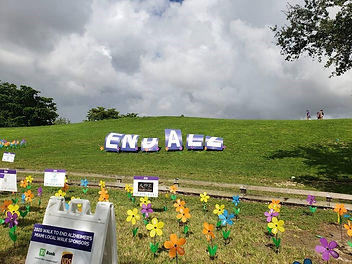 Alzheimer's Walk Nov 2020.jpg