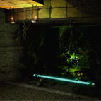 Garden where troll battle takes place