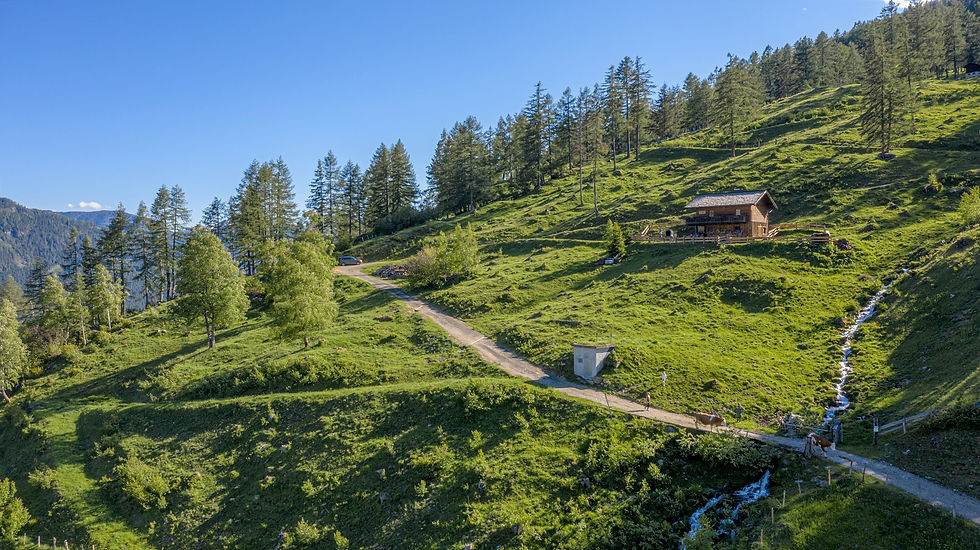 Suntinger_-_AlmhÃ¼tten_Drohne_Mai_20-3