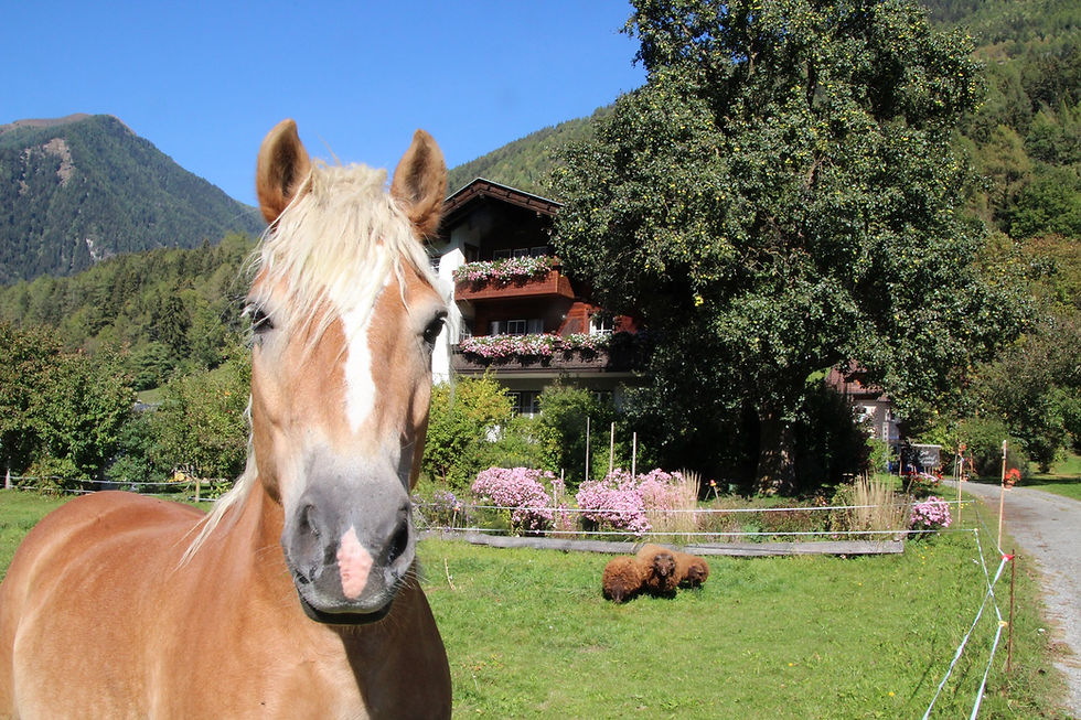 Familienurlaub Kärnten.jpg