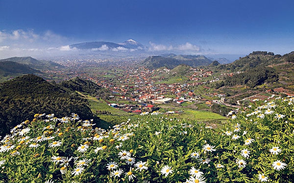 tenerife1_3250130a.jpg