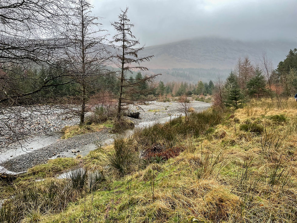 Wild Ennerdale - landscape recovery at scale