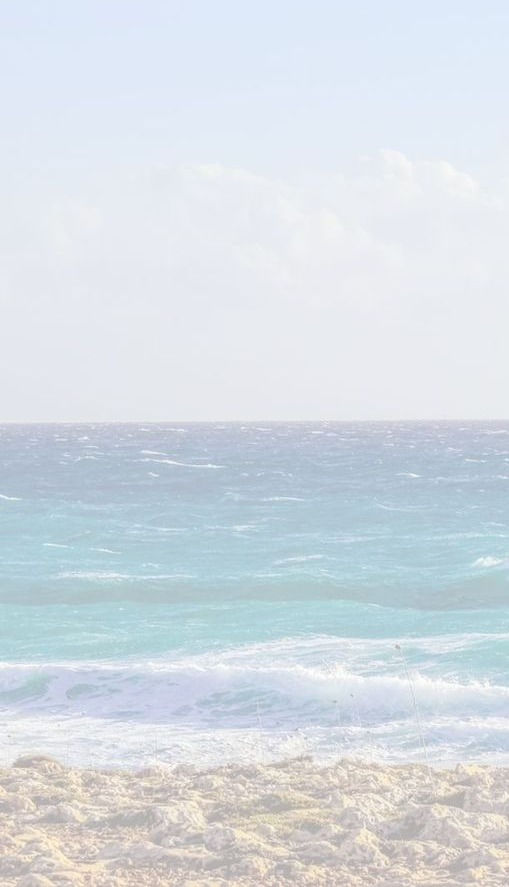 WhatsApp Image 2022-02-09 at 18.06_edited.jpg