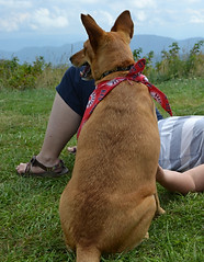 DSC_0579.JPG
